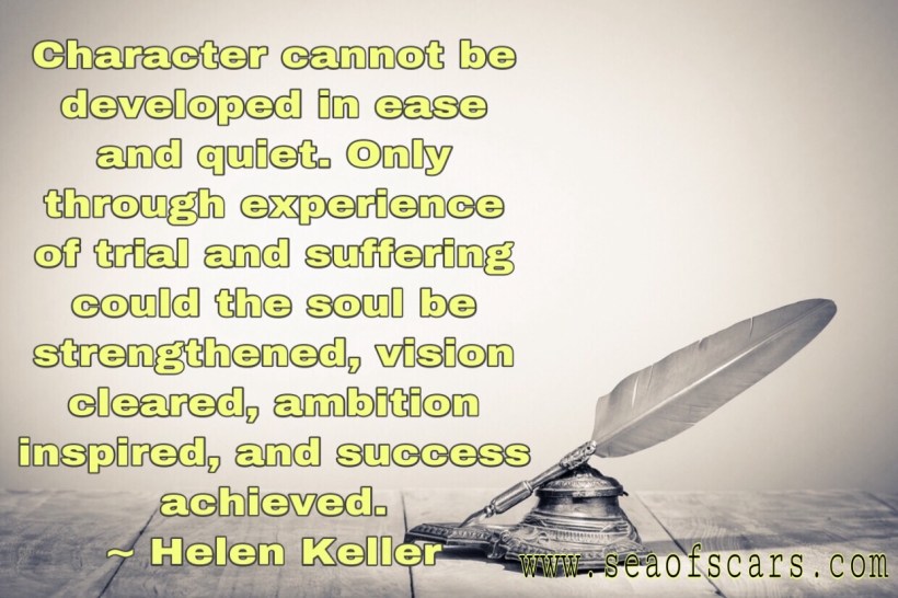 269DB95A-6709-4808-94F0-5678CD202B1A