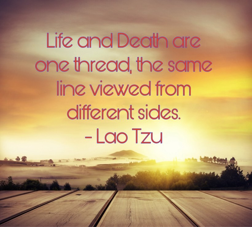 4B3A2D24-00D1-486D-8660-782466BCB4D0